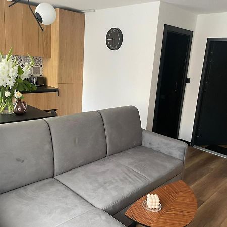 Apartamenty Nadrzeczna 14 Karpacz Luaran gambar