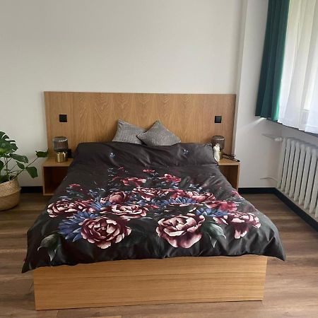 Apartamenty Nadrzeczna 14 Karpacz Luaran gambar