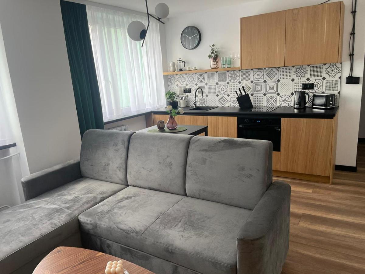 Apartamenty Nadrzeczna 14 Karpacz Luaran gambar